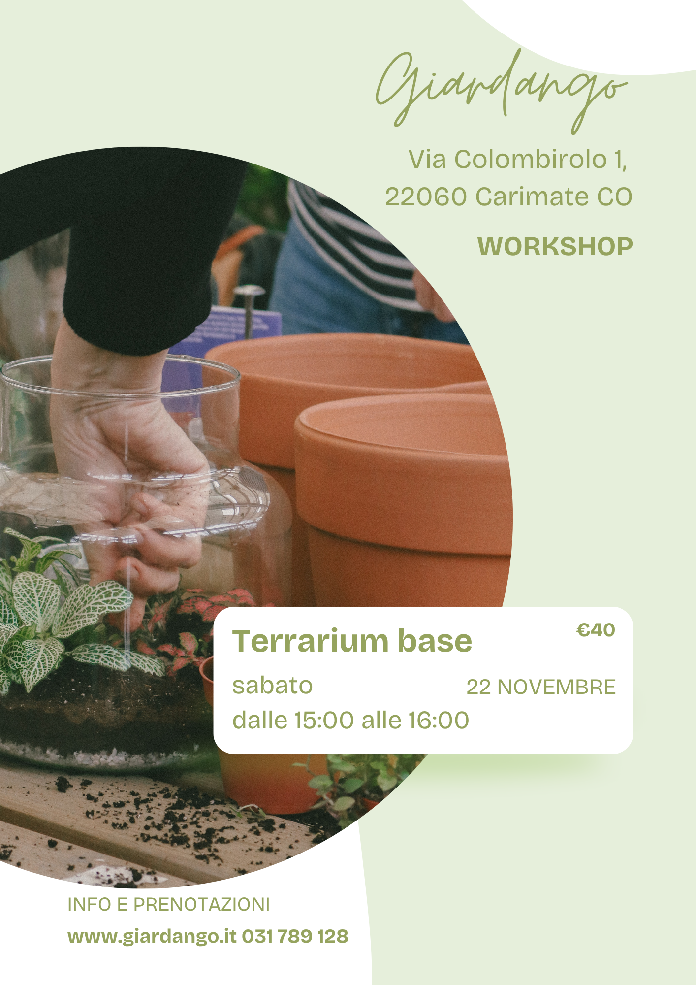 Workshop Terrarium Base