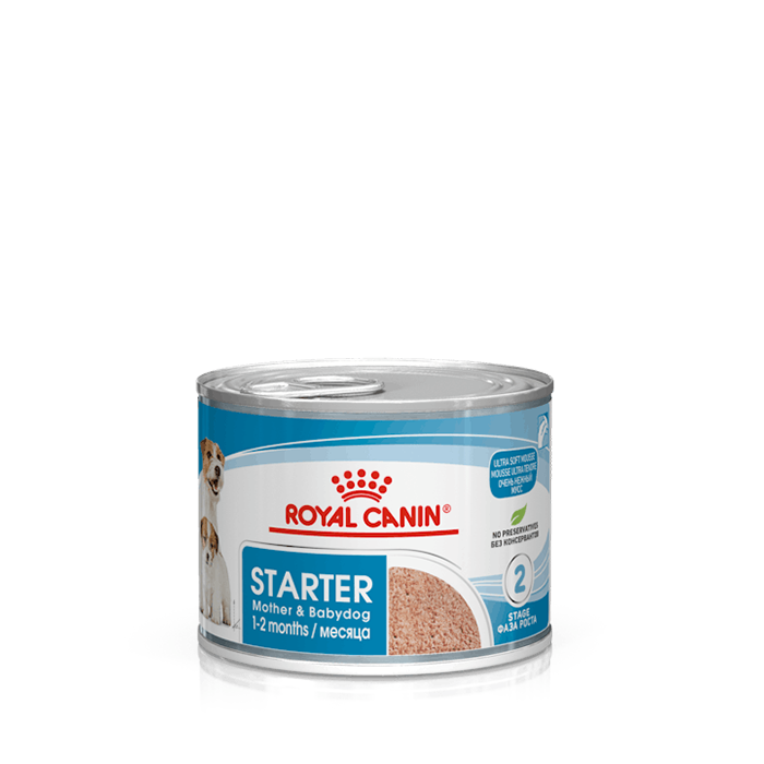 Royal Canin Starter Mother & Babydog Wet - Giardango