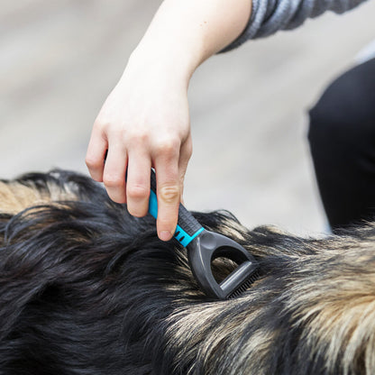 Trixie Taglianodi universale