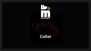 Collare in Nylon verde