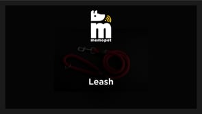 Guinzaglio in Nylon blu