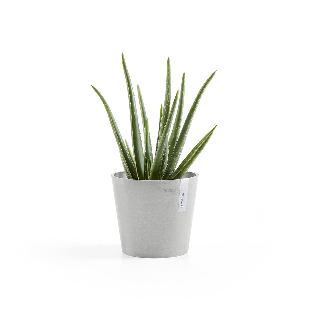 Vaso Tondo Ecopots Amsterdam 17 Grigio Chiaro