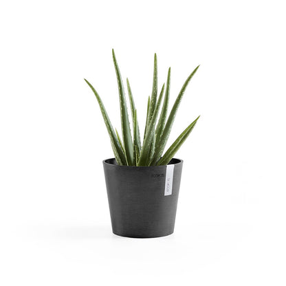 Vaso Tondo Ecopots Amsterdam 17 Grigio Scuro