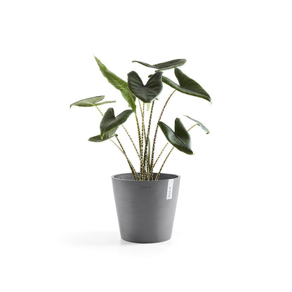Vaso Tondo Ecopots Amsterdam 30 Grigio