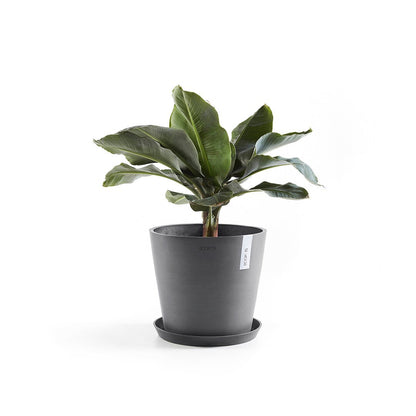 Vaso Tondo Ecopots Amsterdam 40 Grigio
