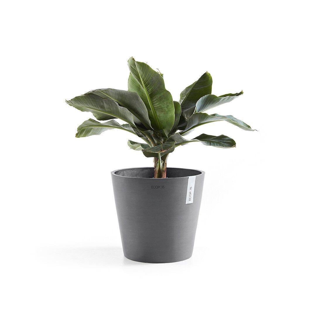 Vaso Tondo Ecopots Amsterdam 40 Grigio