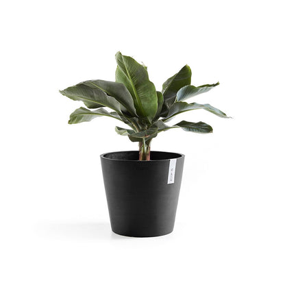 Vaso Tondo Ecopots Amsterdam 40 Grigio Scuro