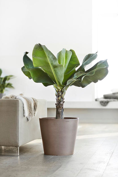 Vaso Tondo Ecopots Amsterdam 40 Taupe