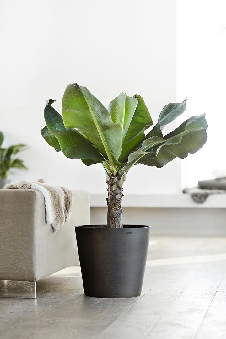 Vaso Tondo Ecopots Amsterdam 50 Grigio Scuro