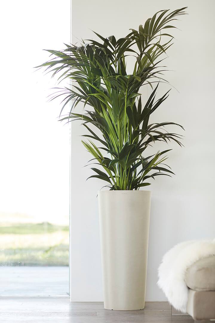 Vaso Tondo Ecopots Amsterdam High 72 Grigio Chiaro