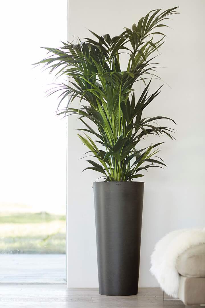 Vaso Tondo Ecopots Amsterdam High 72 Grigio Scuro