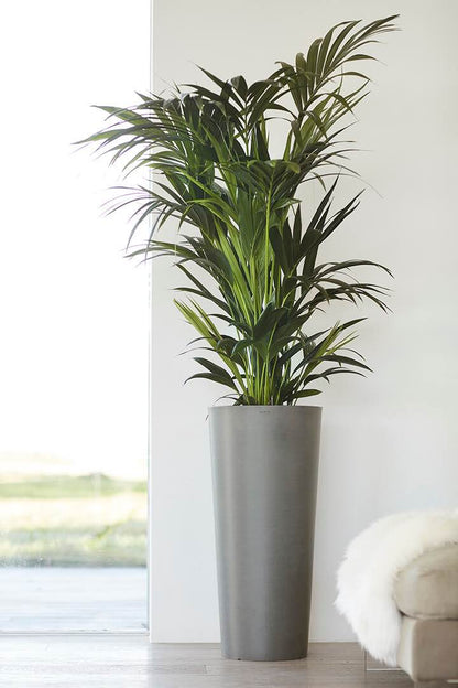 Vaso Tondo Ecopots Amsterdam High 72 Grigio