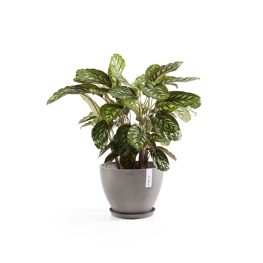 Sottovaso Tondo Ecopots 40 Taupe