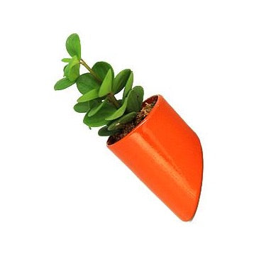 Flowerbox Vasetto con Base Magnetica di Vari Colori