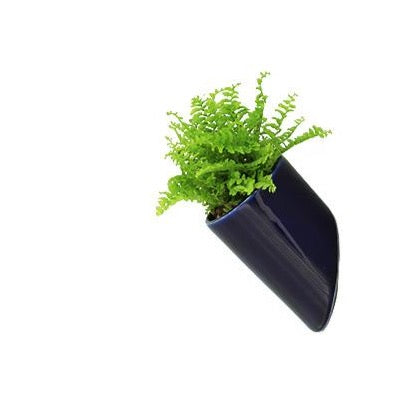 Flowerbox Vasetto con Base Magnetica di Vari Colori