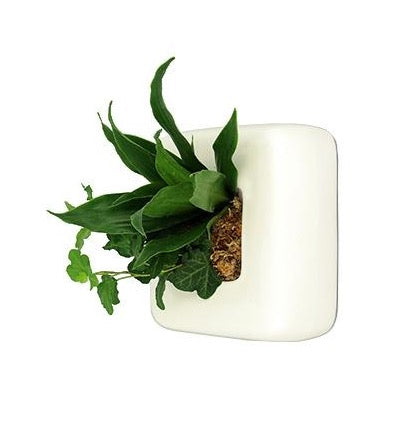 Flowerbox Quadrotto di Ceramica Smaltata di Vari Colori