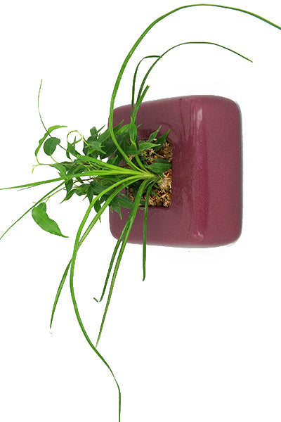 Flowerbox Quadrotto di Ceramica Smaltata di Vari Colori