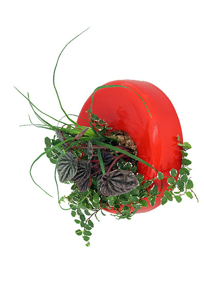 Flowerbox Disco di Ceramica Smaltata di Vari Colori