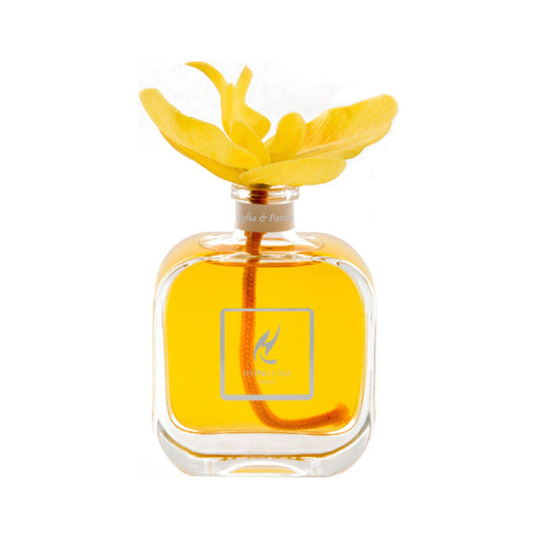 Diffusore con Orchidea Hypno Chic da 100 ml - Giardango