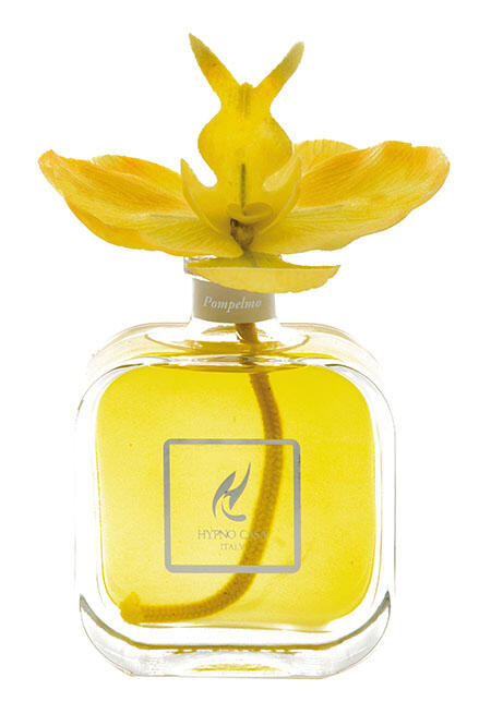 Diffusore con Orchidea Hypno Chic da 100 ml - Giardango