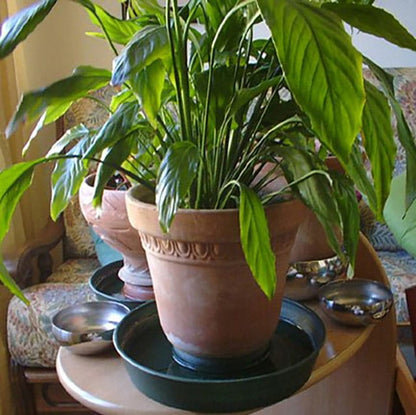 Liquido Anti Larve di Zanzare