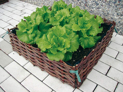 Orto Rialzato in Salice - Giardango