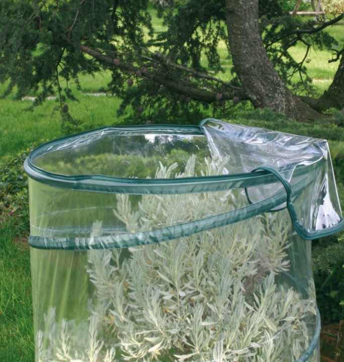 Serra Pop-up Anthurium Altezza 110 cm - Giardango