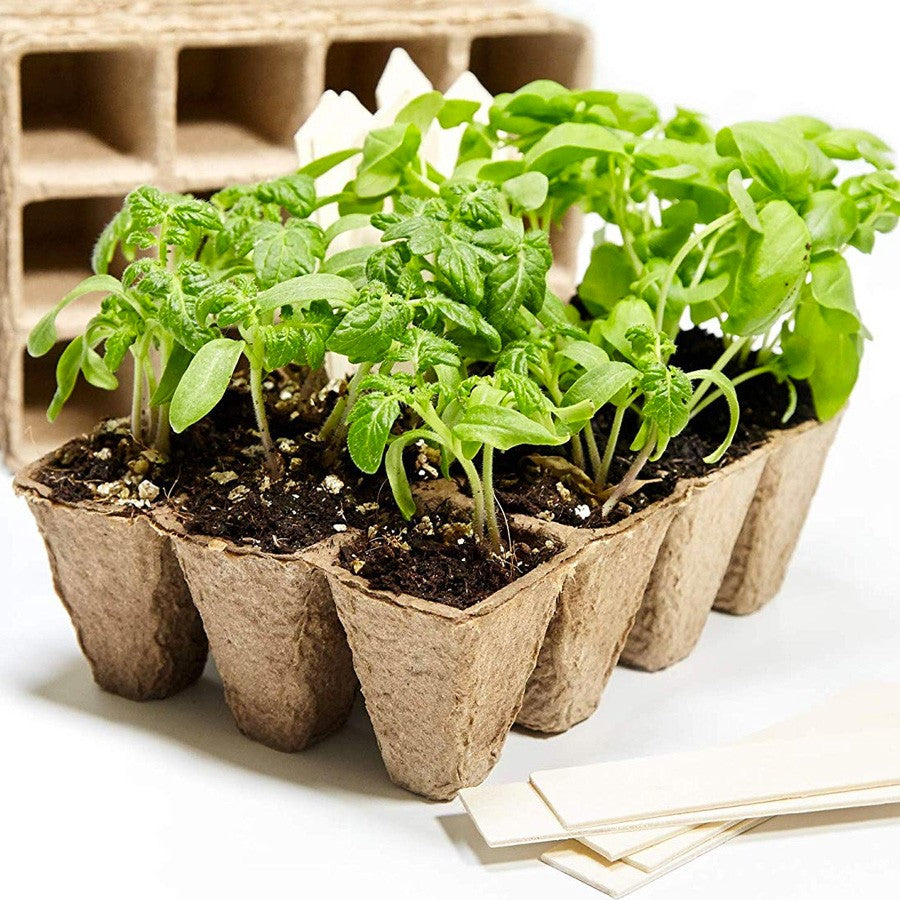 Semenzaio Biodegradabile 12 Celle - Giardango