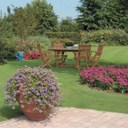 Spirali Antizanzare Profumate alla Citronella - Giardango