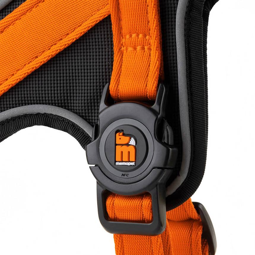 Pettorina Y in Nylon arancione - Giardango