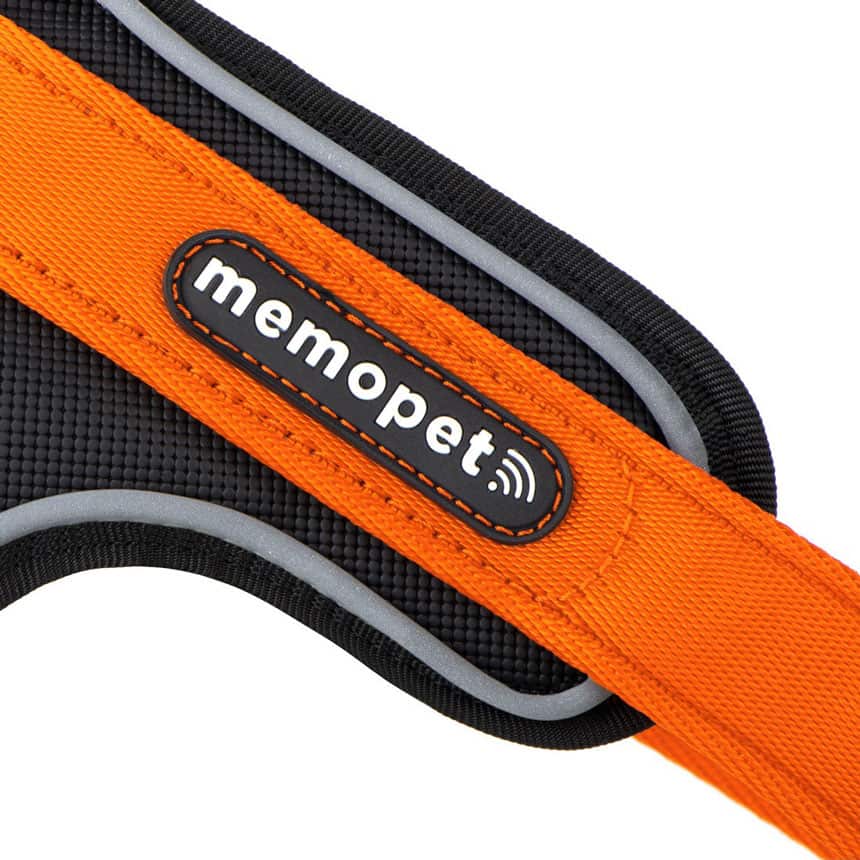 Pettorina Y in Nylon arancione - Giardango