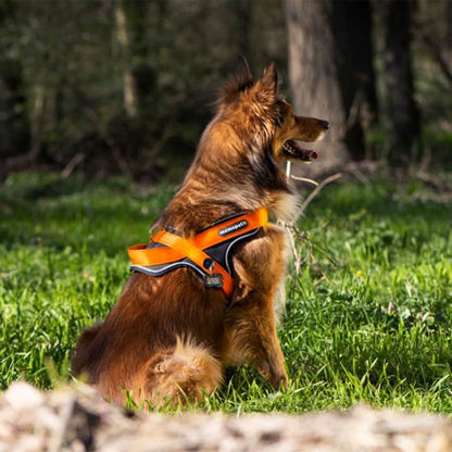 Pettorina Y in Nylon arancione - Giardango