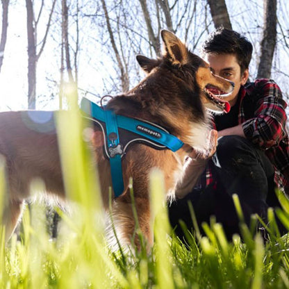 Pettorina Y in Nylon blu - Giardango