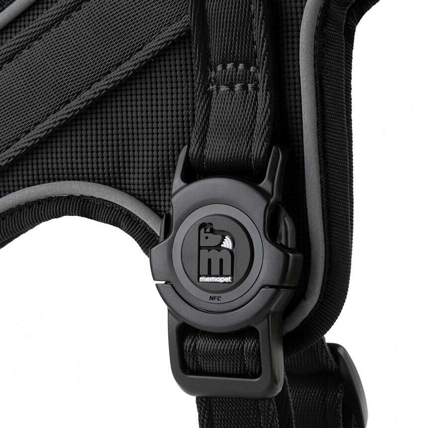 Pettorina Y in Nylon nera - Giardango