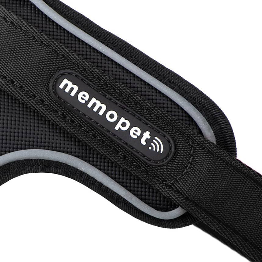 Pettorina Y in Nylon nera - Giardango