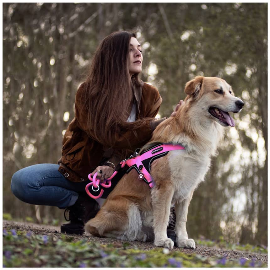 Pettorina Y in Nylon rosa - Giardango