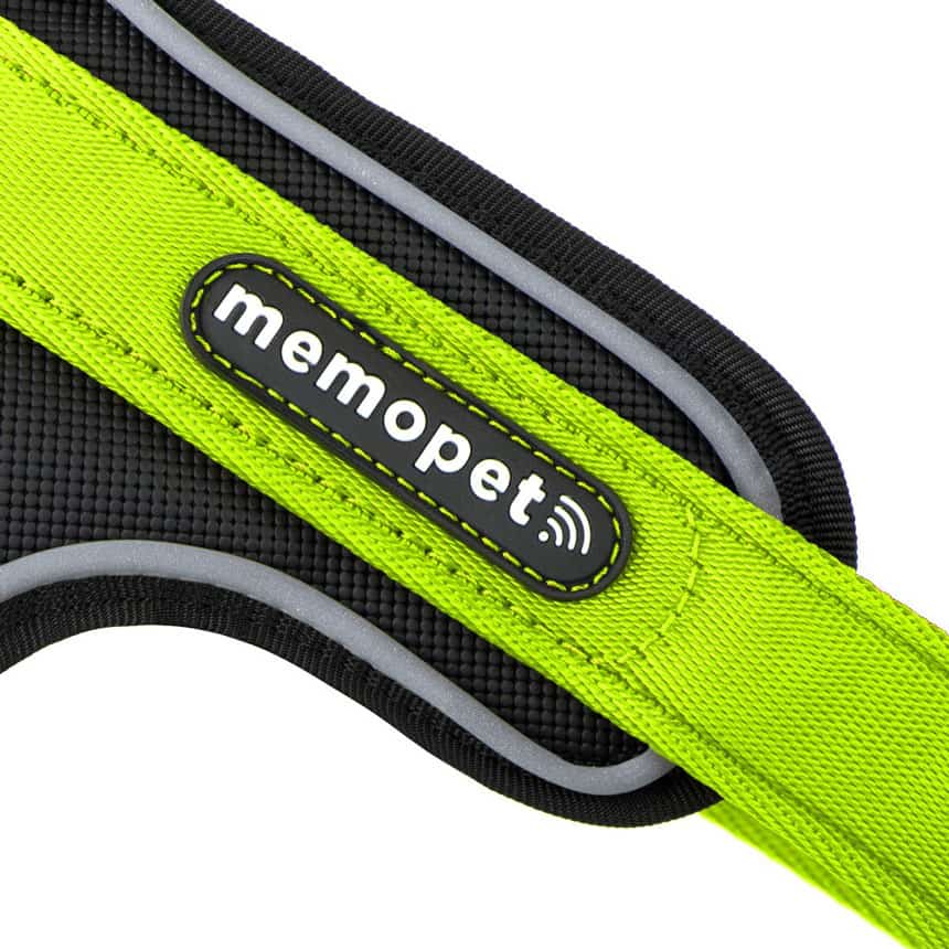 Pettorina Y in Nylon verde - Giardango