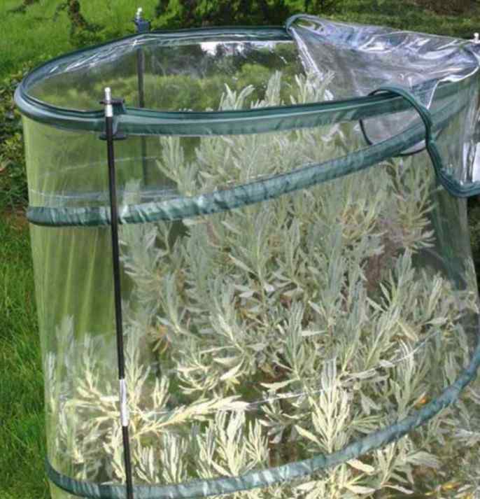 Serra Pop-up Citrus Altezza 150 cm - Giardango