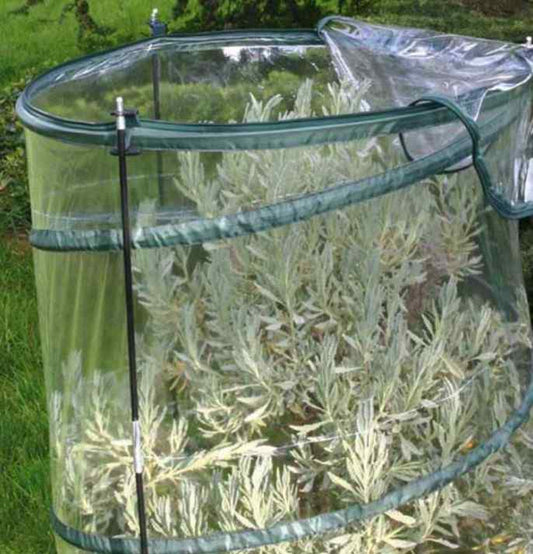 Serra Pop-up Citrus Altezza 150 cm - Giardango