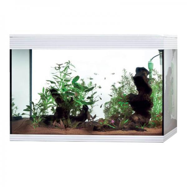 Askoll Pure Led XL HC - Giardango